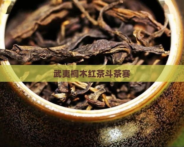桐木村红茶斗茶赛