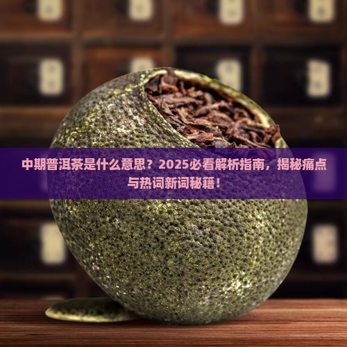 中期普洱茶是什么意思