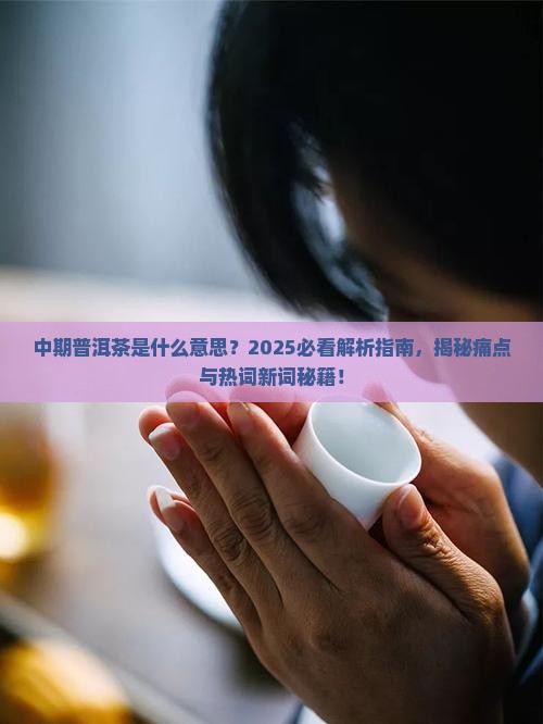 中期普洱茶是什么意思