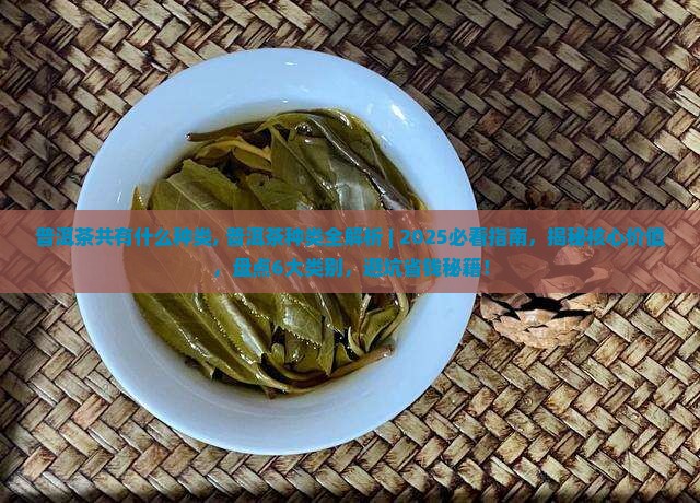 普洱茶共有什么种类
