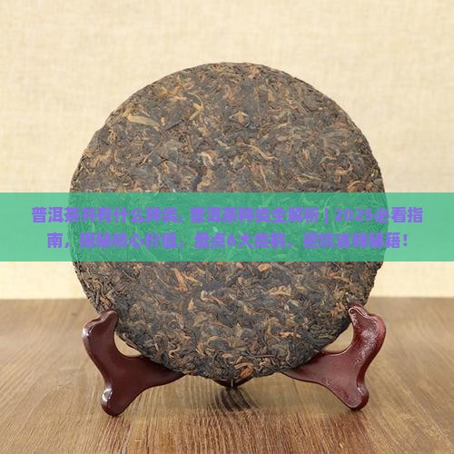普洱茶共有什么种类