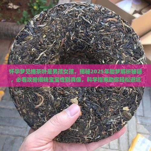 怀孕梦见摘茶叶是男孩女孩