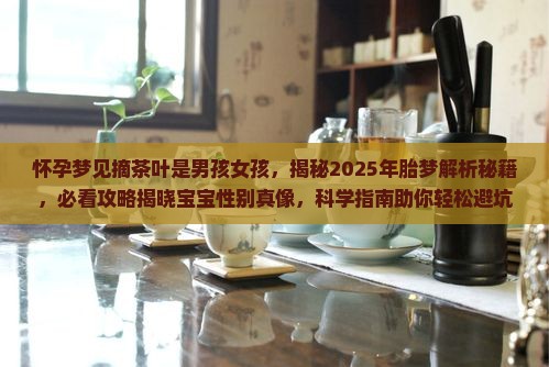 怀孕梦见摘茶叶是男孩女孩