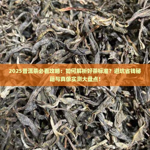普洱茶怎么样算是好茶