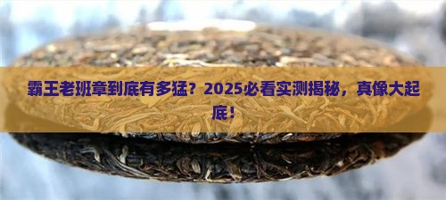 霸王老班章怎么样