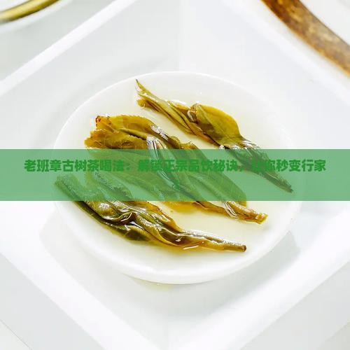 老班章古树茶喝法