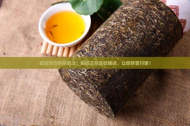 老班章古树茶喝法