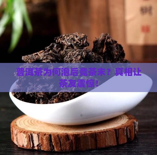普洱茶为何泡后竟茶末
