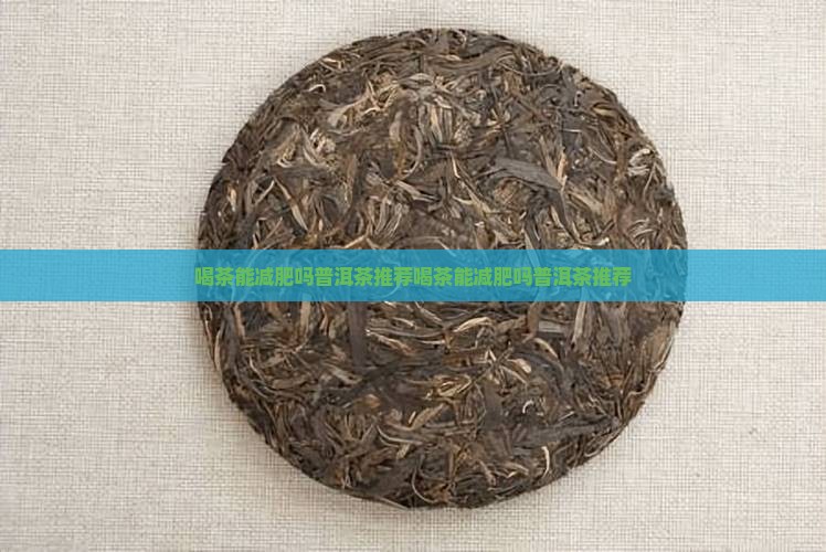 喝茶能减肥吗普洱茶推荐