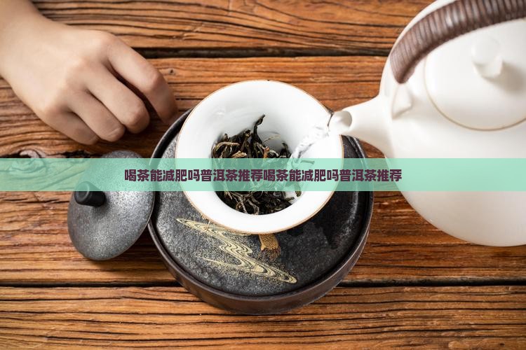 喝茶能减肥吗普洱茶推荐
