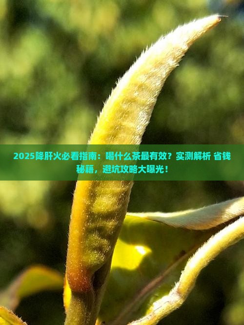 降肝火喝什么茶