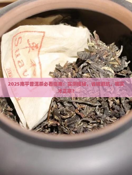 南平普洱茶上哪买的正宗