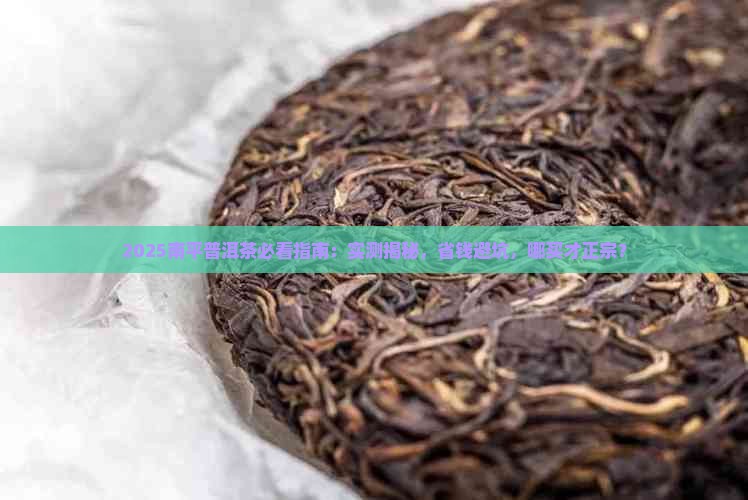 南平普洱茶上哪买的正宗