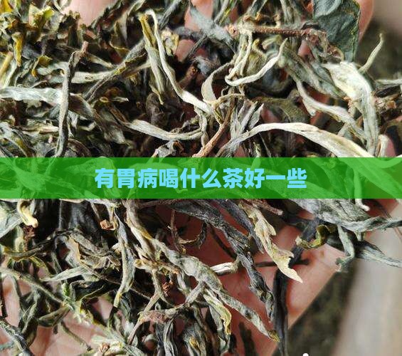 有胃病喝什么茶好一些