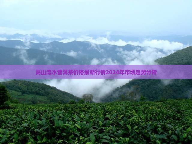 高山流水普洱茶价格