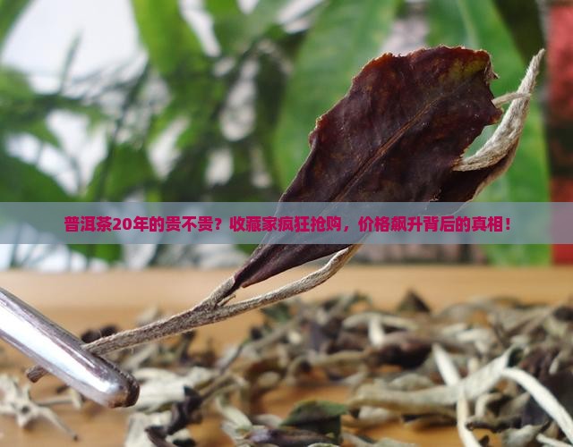 普洱茶20年的贵不贵