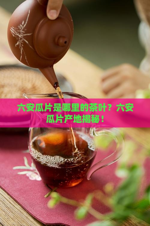 六安瓜片是哪里的茶叶