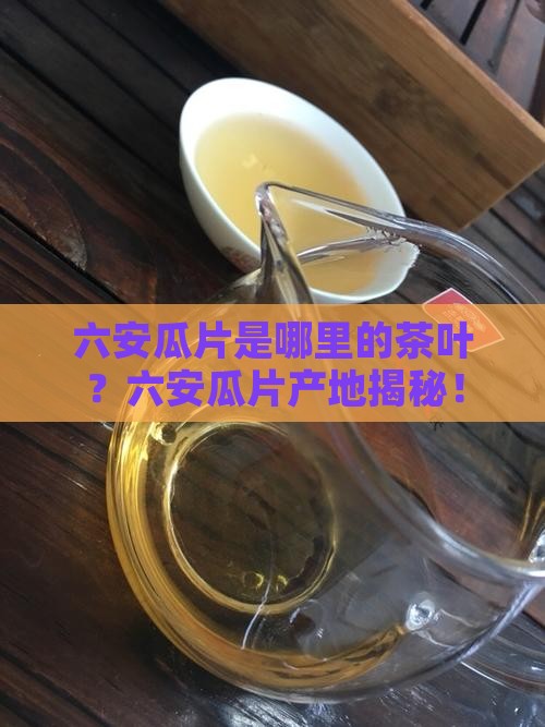六安瓜片是哪里的茶叶