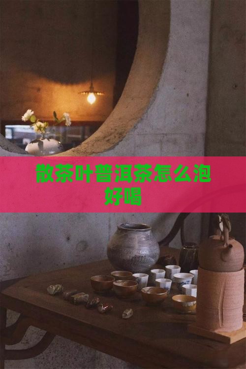 散茶叶普洱茶怎么泡好喝