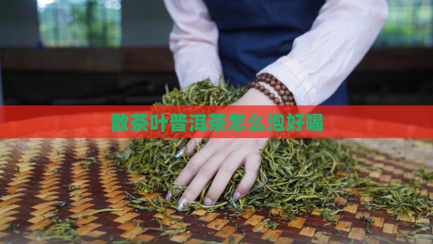 散茶叶普洱茶怎么泡好喝