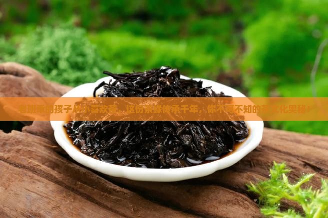 老班章的孩子从小喜欢茶