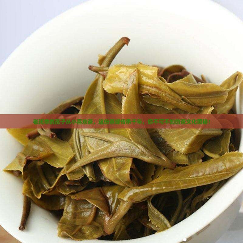 老班章的孩子从小喜欢茶