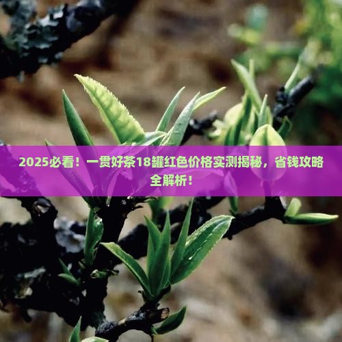 一贯好茶18罐红色价格