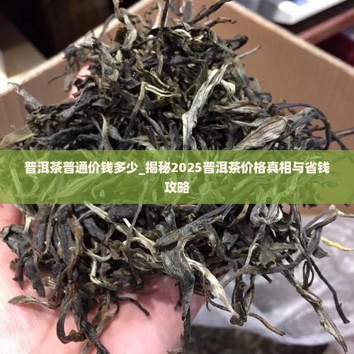 普洱茶普通价钱多少