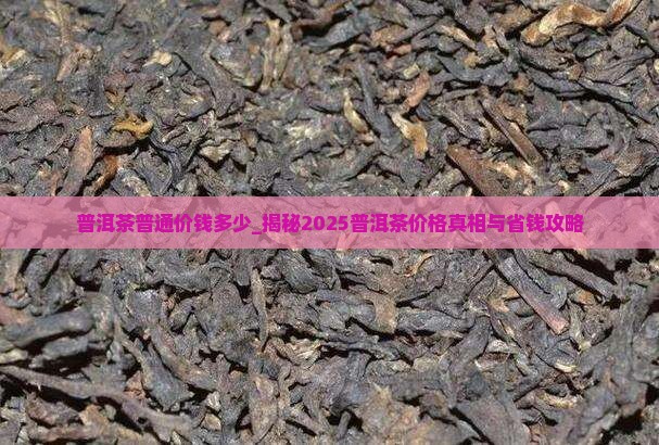 普洱茶普通价钱多少