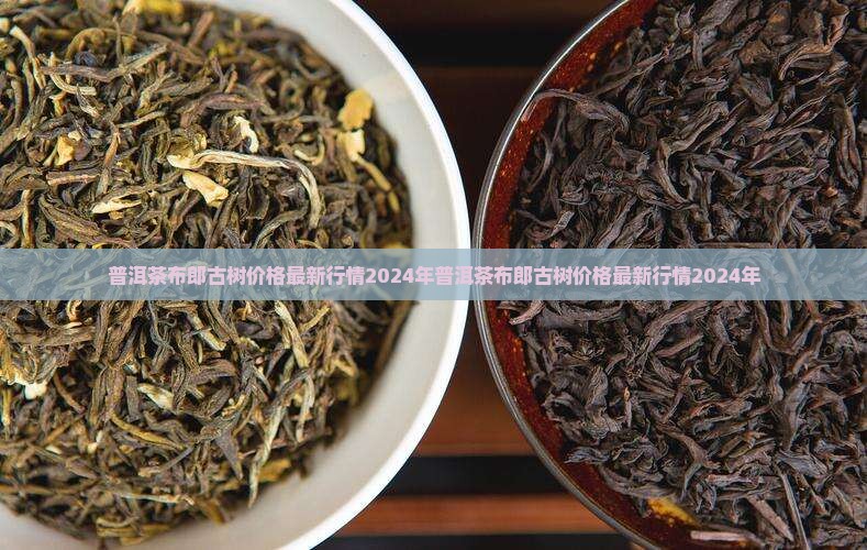 普洱茶布郎古树价格