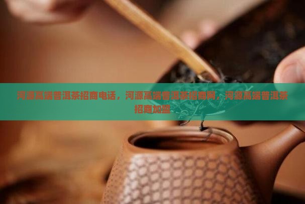 河源高端普洱茶招商