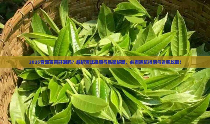 普洱茶苦好喝吗