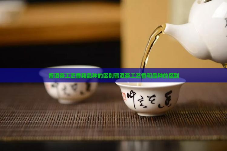 普洱茶工艺香和品种的区别
