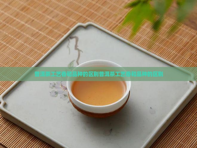普洱茶工艺香和品种的区别