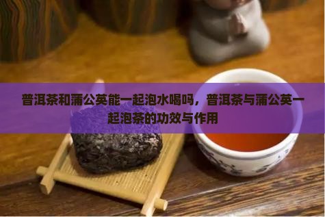 普洱茶和蒲公英能一起泡水喝吗