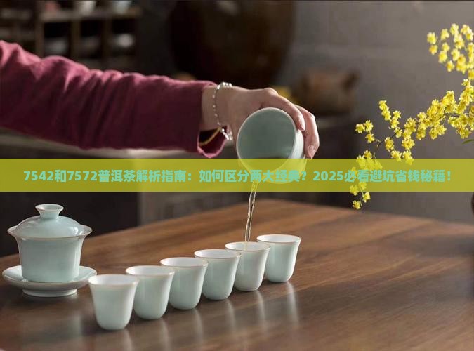 7542和7572普洱茶