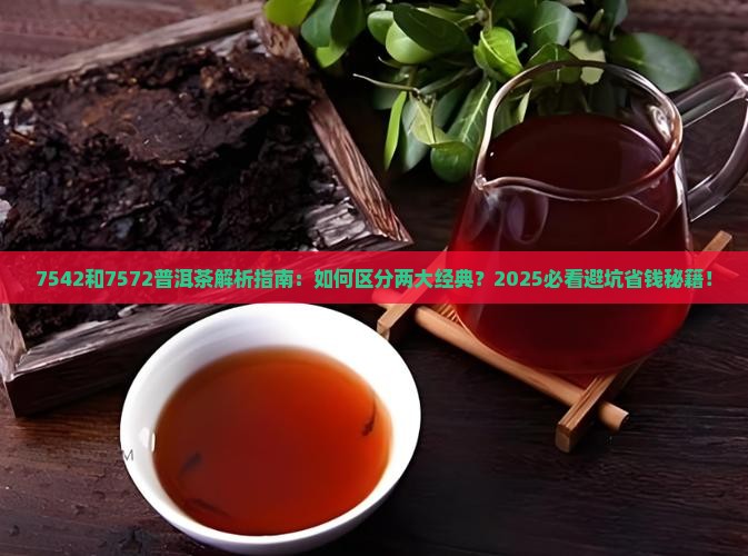 7542和7572普洱茶