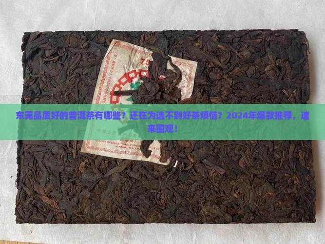 东莞品质好的普洱茶有哪些