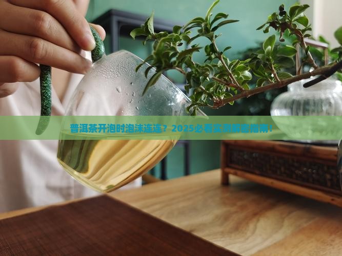 普洱茶开泡时有泡沫