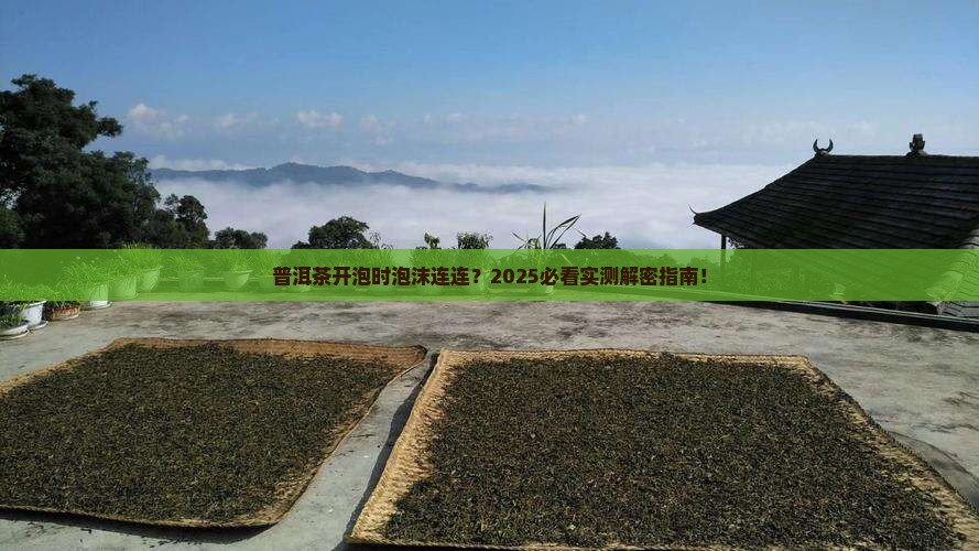 普洱茶开泡时有泡沫