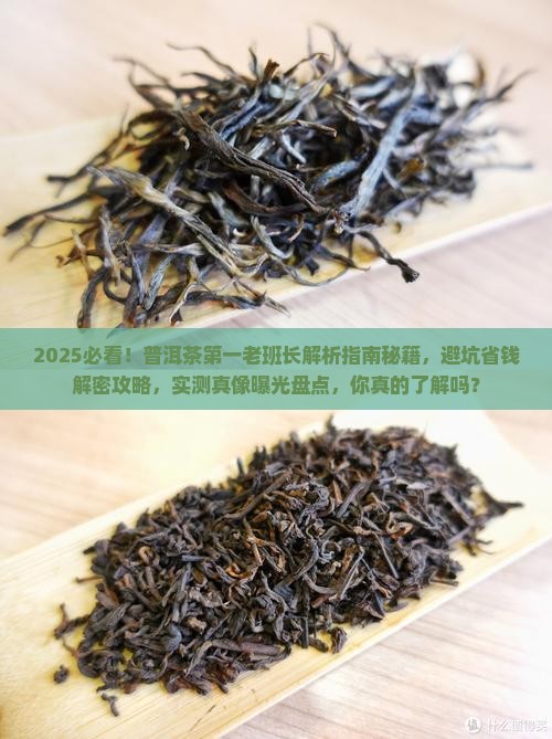 普洱茶第一老班长