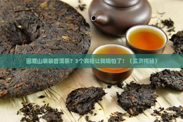 困鹿山袋装普洱茶