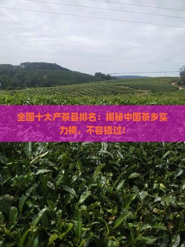 全国十大产茶县排名