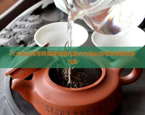 六大茶山同号购买藏饼第九批