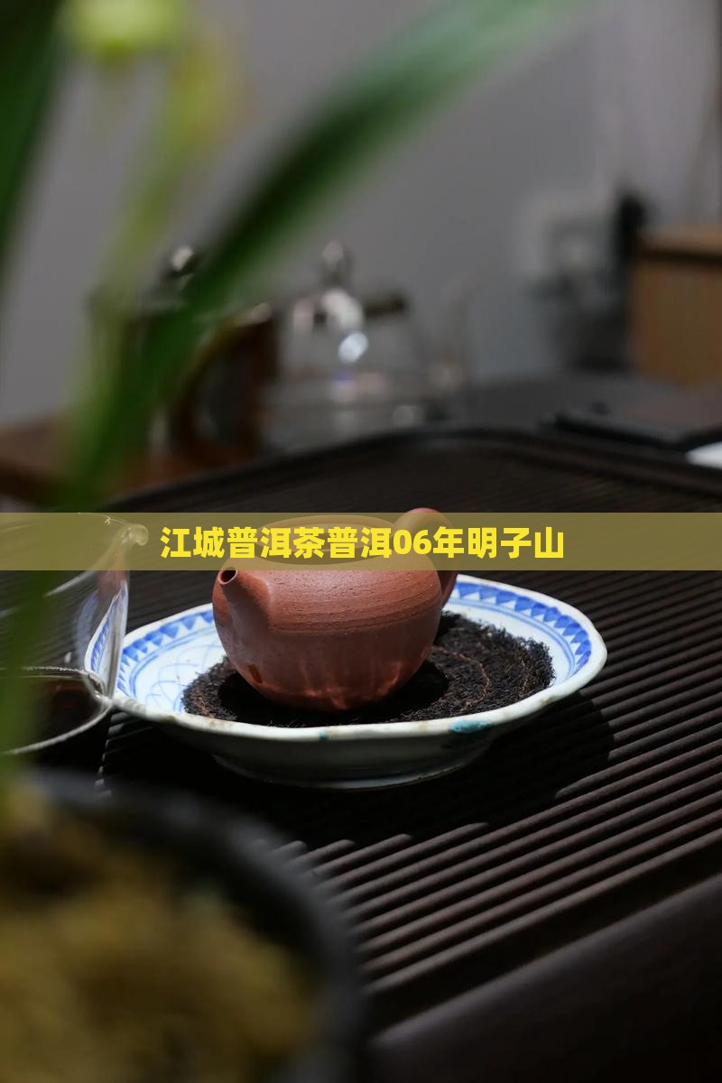 06年江城明子山普洱茶