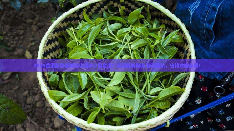 普洱茶熟茶冲泡水温是多少