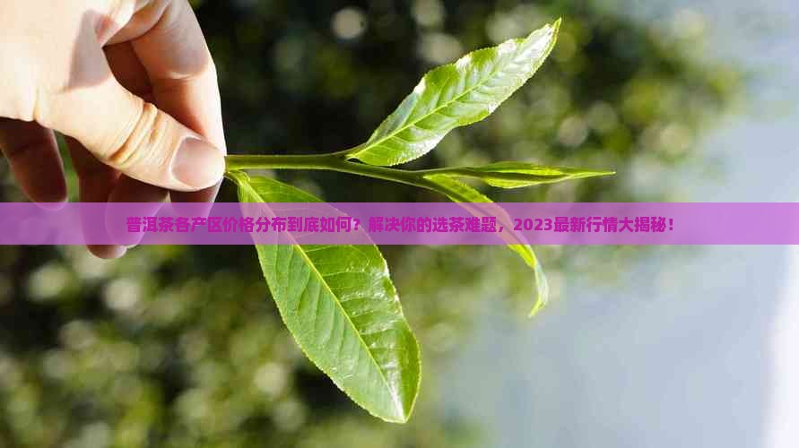 普洱茶各产区价格分布
