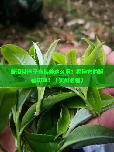普洱茶渣子的功效