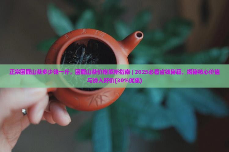 正宗困鹿山茶多少钱一斤