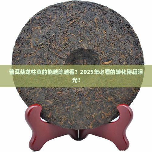 普洱茶龙柱转化空间